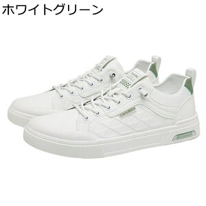 XP[gV[Y [Jbg ^C Xj[J[ Y Xb| JWA EH[LOV[Y h ʋC  RtH[g ₷ AEghA ʊw ʋ 풅p