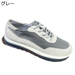 JWAV[Y Xj[J[ ^C XP{[V[Y Y  EH[LO [Jbg [XAbv ~ ʋC  ₷ ₷  AEghA tH