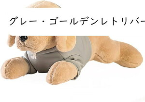  킢 ʂ  S[fEgo[  YQ Z[^[ GG l` q ̎q  n A  Aj}Y a 蕨 v[g 40-8