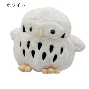  ӂ낤 ʂ ܂  G  D NbV  ӂӂ _炩 n C av[g ގޏ Mtg v[g \t@ CeA