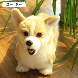 R[M[ʂ A   hbO  y X\ hV̓ ʉ Əj oYj Mtg CeA  \t@ E u v n  ӂӂ 