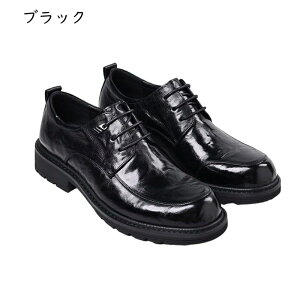 rWlXV[Y Y amC tH[}V[Y r IV h OH  vC ʋC 傫TCY jp ₷ l Ў N[g I[V[Y _[r[V