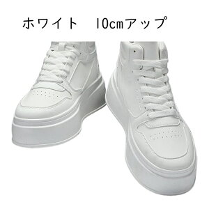 Xj[J[ V[Nbgu[c Y nCJbg JWAV[Y C y j XP[g{[hV[Y wȂC ~ Ȃ ₷ tH~