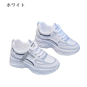 Xj[J[ fB[X C ^C EH[LOV[Y jOV[Y JWAXj[J[ X|[cV[Y C y` g[jO h RtH[g O ʋ 