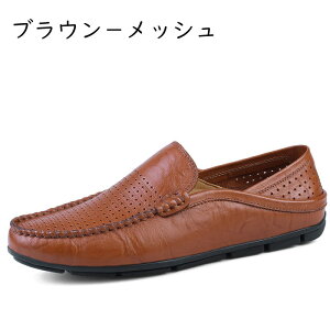 JVV[Y {v Xb| Y [t@[ 29.0cm傫TCY Ɠ߂  hCrOV[Y Sn ʋΒʊw V Ǝ w tďH ʋC LR