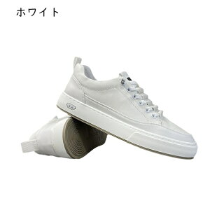 JWAV[Y Xj[J[ XP[g{[hV[Y Y  {v [XAbv EH[LOV[Y y ₷ ~ ʋC K X|[c AEghA