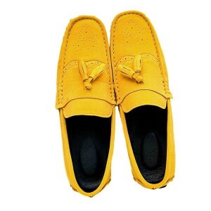 [t@[ JV U[ ^bZt {v XG[h Y 傫TCY Xb| JWAV[Y amC ItBX Vv [q[ 芴 lߒp  Ep ItB