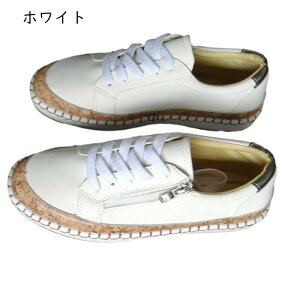 傫TCY LoXV[Y fB[X Xj[J[ [Jbg [XAbv W[g JWAV[Y tďH ~ Sn ʋC JWA    o