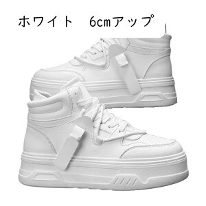 Xj[J[ JWAV[Y Y V[Nbgu[c nCJbg V[NbgV[Y Cq[ C ʋC y h XP{[V[Y ₷ I[V[Y