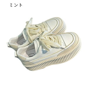  Xj[J[ g5cmUP RtH[gV[Y fB[X [Jbg [XAbv n WMO h \tg E₷ L r  i ʋ o ʔNKp