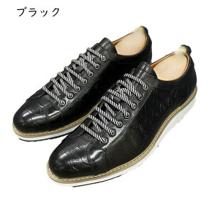 JWAV[Y vC Y rWlX Xj[J[ NR^ {v U[ hCrOV[Y _ ₷  ʋC ~ h hL y E₷ AE N[