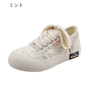  3cmUP Xj[J[ LpX fB[X [JbgJbg [XAbv EhgD L r y  K tBbg ʋ ʊw  i p ʔNKp s 