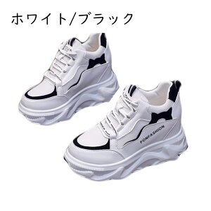 Xj[J[ fB[X  V[NbgV[Y  Cq[ RtH[g EhgD  Ȃ Sn 10cm JWA s ϋv gAbv ~ [XA