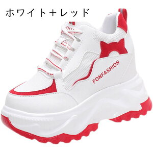 Xj[J[ fB[X  V[NbgV[Y  Cq[ RtH[g EhgD  Ȃ Sn 10cm JWA s ϋv gAbv ~ [XA