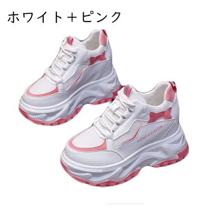 Xj[J[ fB[X  V[NbgV[Y  Cq[ RtH[g EhgD  Ȃ Sn 10cm JWA s ϋv gAbv ~ [XA