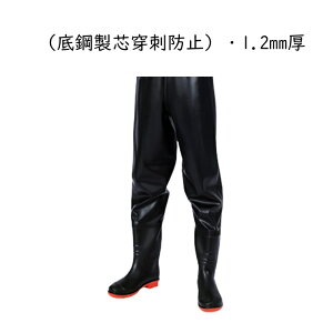 EF[_[ EFXg C ƒ ނpX[c bVʋC WA ̐^ kނ cA ~J΍ J AEghA  qbvu[c jp Sh ϖ tBbVO