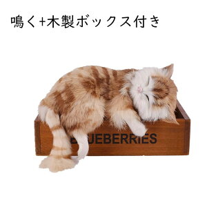 L ʂ A Qׂ ˂ Ђ˂ lR {   19*10*13cm u qL er {I  CeA X  a hV̓ ۈ牀