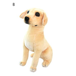 ʂ   v~A A p [ybg D 傫TCY NbV w  }^jeB n ͋C G   蕨  A 40