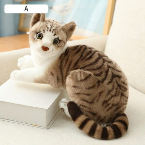 ˂ʂ L A u CeA tt   GG LN^[ ll D l` TCY NX}X VN c̑蕨 aj M