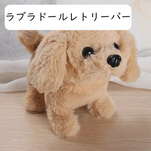 ʂ  R  dߋ Č  ETM ybg  i  {bghbO ߋ ۈ牀 q Mtg av[g hV̓ oYj 