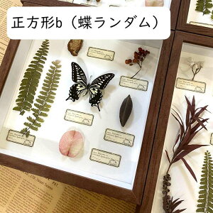 tHgt[ ̊z {bNXt[  NAt[ z KX hCt[ W{ tBMAP[X  a j ސEj `a 22*22*4.5cm