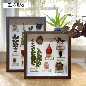 tHgt[ ̊z {bNXt[  NAt[ z KX hCt[ W{ tBMAP[X  a j ސEj `a 22*22*4.5cm