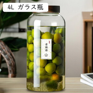 KX WO ^N hNT[o[ ֌t KX ۑr ~ W[X r[ ۑe ƒp  ①   W[X l[h HX Ɩp 2-3L KXr