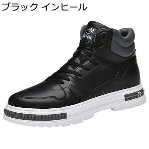 Yu[c Cq[8cm  V[gu[c vC nCJbg Xj[J[ [XAbv JWAV[Y h ~ ϖ H~ X|[c AEghA ʋ ʊw