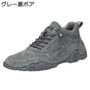 JWAV[Y Xj[J[ Y v Xb| X|[c EH[LOV[Y Ȃ ʋC y ₷ ₷  AEghA ʋΒʊw