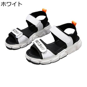 X|[cT_ U[ 26.0cm X|T fB[X 񂾂 4.5cm {v 傫 bXgbv xN ANXgbv t  y _ EI[LO ig O sNjbN 