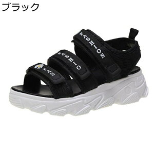 Xj[J[ T_ fB[X X|[cT_ C xN 3A g5cmUP ԕ bV Xgbv ăT_ C ėp Ȃ ɂȂ y` [} IV ʊw ^