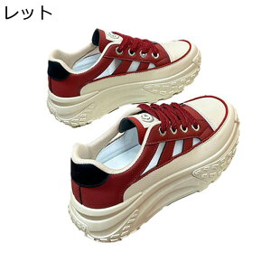   Xj[J[ D^ fB[X [XAbv [Jbg   q[̍5cm S\[ r ~ ʋΒʊw X|[cT_ JWAT_ 