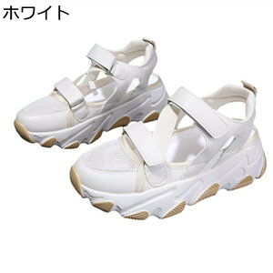 Xj[J[  X|[cT_ N[YhgD  fB[X t@Xi[ bV AWX^[ v  vbgtH[ q[̍6cm ϊ JWA NbV