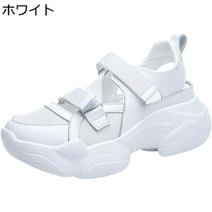 Xj[J[  X|[cT_  fB[X t@Xi[ N[YhgD bV AWX^[ v ăvbgtH[ q[̍7cm ϊ JWA NbV IV