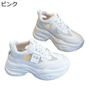  X|[cT_  fB[X [XAbv bV [Jbg JWAXj[J[ v  q[̍7cm ϊ Cq[ NbV  T}[Xj[J[