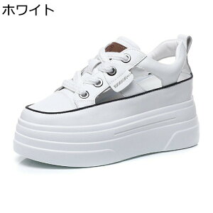  X|[cT_ fB[X  q[̍8cm [XAbv bV N[YhgD vbgtH[ v  ϊ T}[Xj[J[ ʋΒʊw  JWA