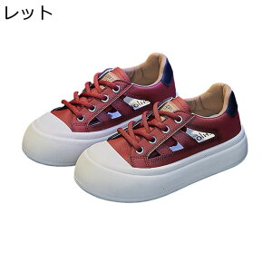 fUC Xj[J[ fB[X PUU[ 4cm [XAbv 킢 S [Jbg tďH JWAV[Y vbgtH[ X|[cT_ ʋC ~ 