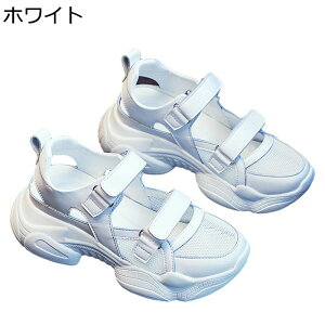 X|[cT_  fB[X  ʃt@Xi[ bV [Jbg JWAXj[J[ v  q[̍7cm ϊ vbgtH[ NbV i T}[Xj[J[