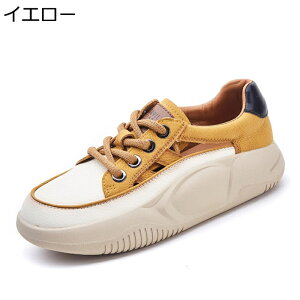 X|[cT_ fB[X   q[̍3.5cm [XAbv S\[ [Jbg v tďH T}[Xj[J[ JWA ʋΒʊw ʋCK ~ r