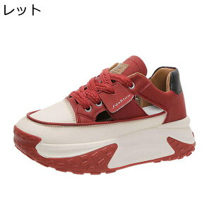 fUC fB[X 5cm Xj[J[ X|[cT_ ėp [XAbv bV  [Jbg IV v 킢 ʋΒʊw s S EH[LO Ȃ