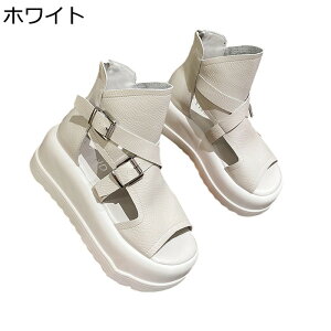 T}[u[c  fB[X 6cmq[ T_u[c obN obNWbp[ I[vgD bV S  h PUU[ vbgtH[ u[cT_ n  ؍