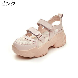 fUC X|[cT_ T_  fB[X q[̍7cm bV t@Xi[  _bhXj[J[ h T}[Xj[J[ E₷ ʋΒʊw  ItBX