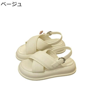 fB[X T_  r[`T_ NXXgbv g OfBG[^[T_ ₷ RtH[g tbg  r 킢 ʋC h JWA fC[ ʋ 