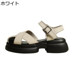 T_ fB[X ҂ݍ݃XgbvT_ r[`T_ EhgD ₷ ₷ ėp OfBG[^[T_  ʋC h JWA ʋ ʊw i