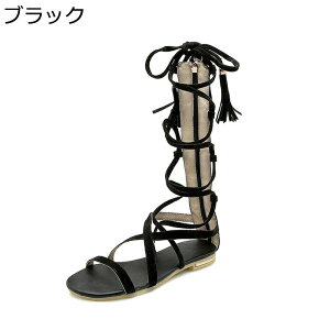 T}[u[c fB[X OfBG[^[T_ Xgbv҂ݏグ Ou[c tbg ₷ ₷ XG[h tW {w~A r[`T_ s   h