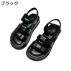  JWAT_ fB[X xN OfBG[^[T_ X|[c r[`T_ ₷ ₷ tbg ėp Vv   ʋC Ȃ ʋ 