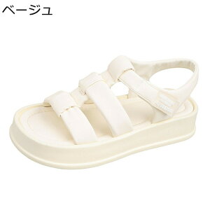  JWAT_ fB[X xN OfBG[^[T_ X|[c r[`T_ ₷ ₷ tbg ėp Vv   ʋC Ȃ ʋ 