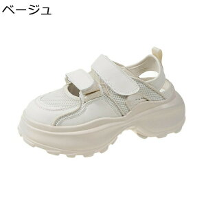 fB[X X|[cT_ T}[V[Y bV ʋC Xj[J[ ₷ ɂ  gAbv JWAT_   Ȃ AEghA Xg[g ʊw 