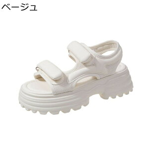 JWAT_ O fB[X  r[`T_ 傫TCY xN ₷ ₷ gAbv  ʋC ~ JWAV[Y w ʊw ʋ W[