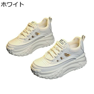 T_ fB[X Cq[ JWAT_ Xj[J[ ₷ ₷ [XAbv ʋC Ȃ X|[cT_ tďH  h AEghA ʊw ʋ 